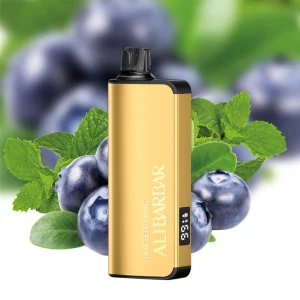 ALIBARBAR INGOT 9000 PUFFS – Blueberry Mint (2)