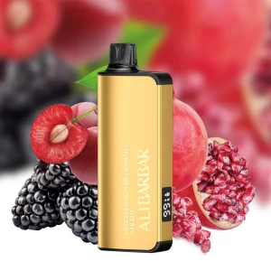 ALIBARBAR INGOT – BLACKBERRY POMEGRANANATE CHERRY – 9000 PUFFS